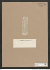 Navicula pristiophora Jan. (de-Toni-Nr.: Genus 1, Species 287) Zeichnungen Sammlung Grunow Nr. 641 (NHMW-BOT-W0367008)